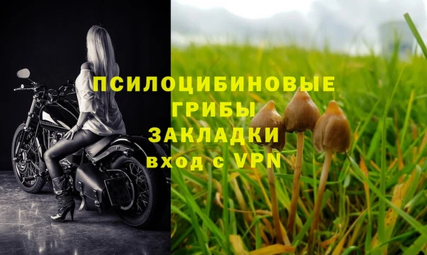 стафф Балабаново