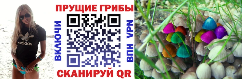 Псилоцибиновые грибы ЛСД  Заречный 